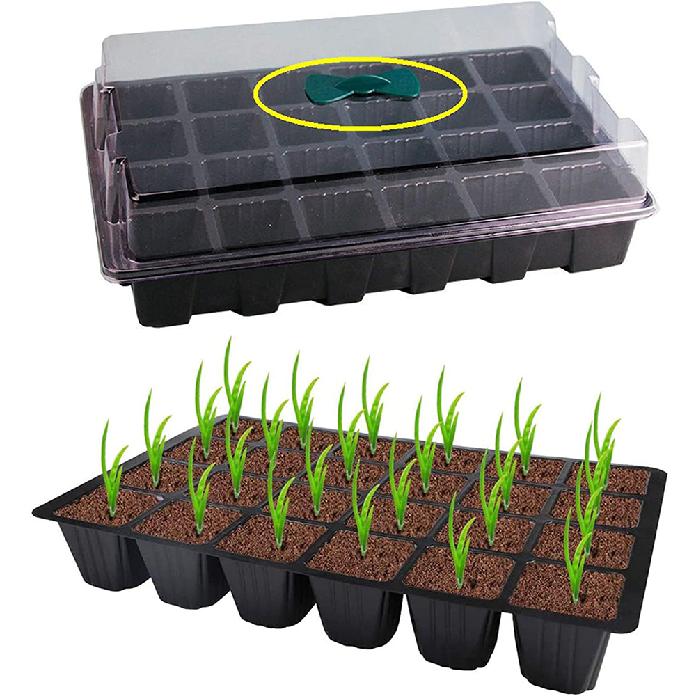 Khay Trồng Cây Bằng Nhựa Trong Suốt Thoáng Khí