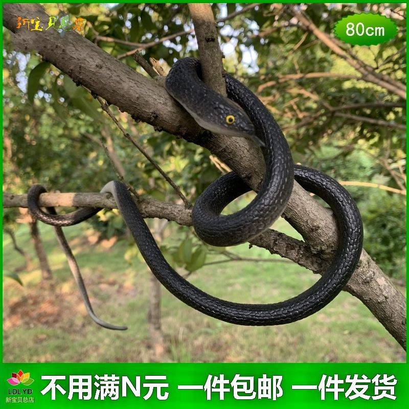 Rắn Đồ Chơi Bằng Gỗ Cho Bé Mô Hình Rắn Gõ Kiến Bằng Cao Su Mềm Cỡ Lớn Trang Trí Sân Vườn