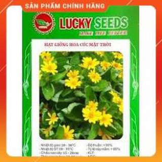 HẠT GIỐNG CÚC MẶT TRỜI GÓI 50 HẠT