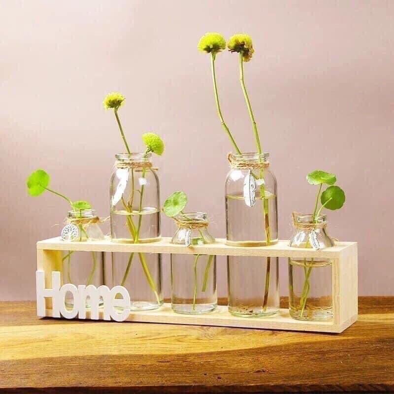 set 5 lọ hoa kèm kệ gỗ home