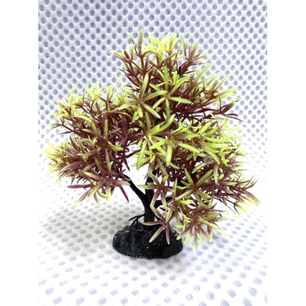 Cây Nhựa 3 Cành Cho Ốc Leo cao 12cm