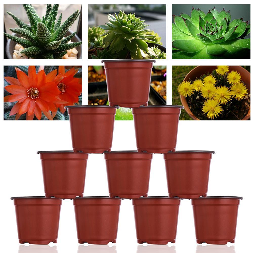 Bộ 10 Chậu Hoa Bằng Nhựa Mềm Hai Tông Màu Xinh Xắn