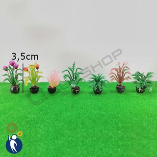 Chậu Kiểng Nhỏ, Mô hình mini trang trí, 