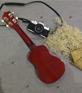 Ukulele LORTUI  21inch màu gỗ