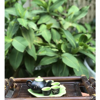Bộ ấm trà bát tràng mini / Bộ ấm trà mini
