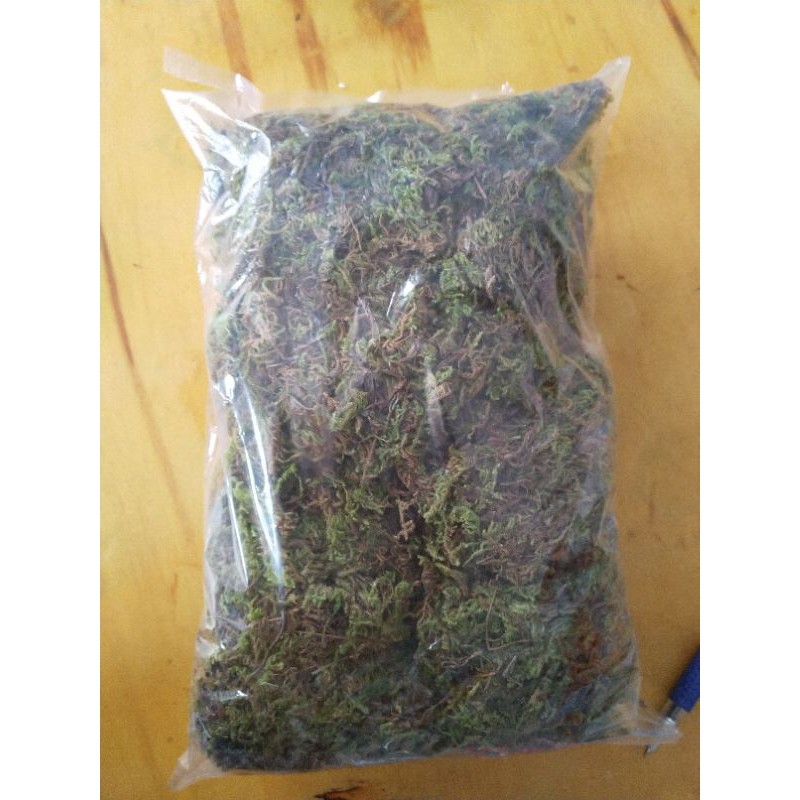RÊU RỪNG TRỒNG LAN LOẠI ĐẸP 100g