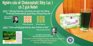 DIỆP LỤC COLLAGEN ( Hàng chính hãng Cty )