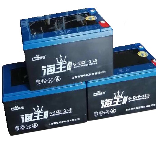 Ắc quy xe đạp điện hãng Hải Vương 12V-13.5AH 6-DZF-13.5