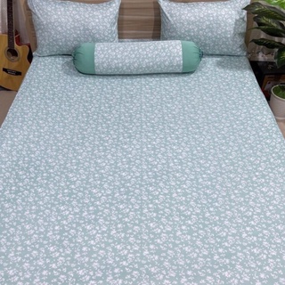 {được chọn mẫu} - GA CHỐNG THẤM COTTON NaNo kháng khuẩn mềm mát