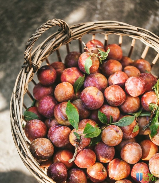 Mứt Mận- Mận sấy dẻo- Xí Muội sapa Ô mai 300g