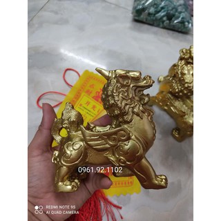 Cặp đôi tỳ hưu đông vàng nguyên chất 11cm nặng tay ( hàng cam kết y hình ) ngoài đẹp hơn.