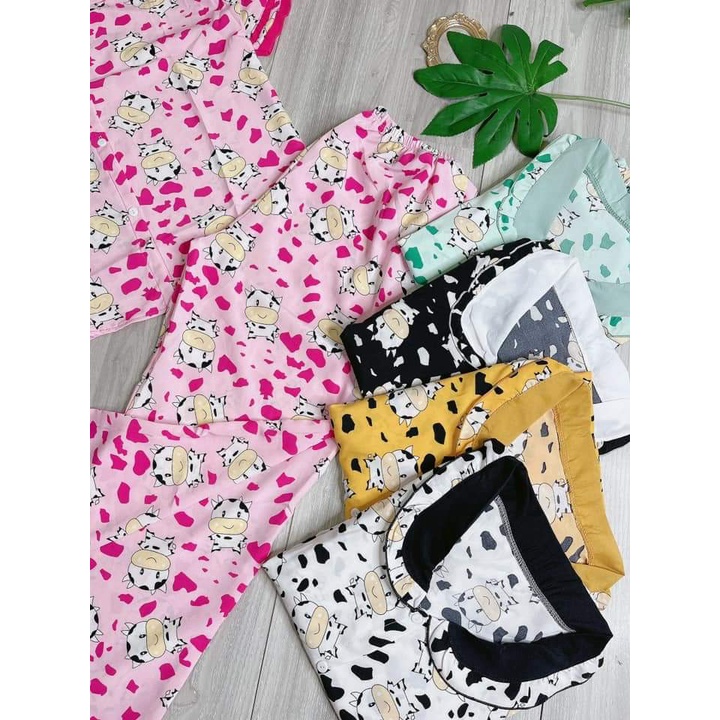 Set bộ lụa áo tay ngắn và quần dài viền bèo hình bò sữa