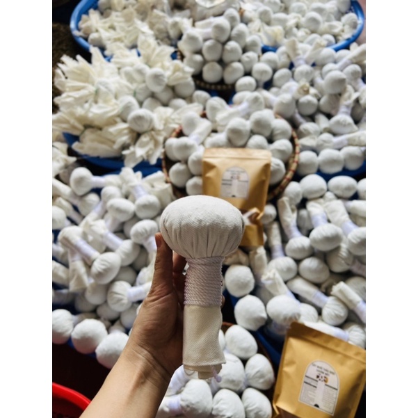 CÂY MUỐI THẢO DƯỢC CHƯỜM MẮT