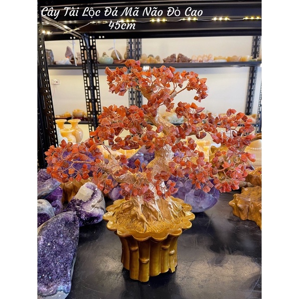 Cây Đá Tài Lộc Nhiều Màu Sắc Phong Thuỷ