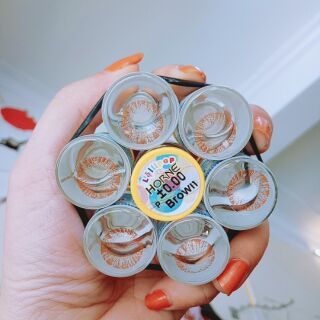 Lens nâu tây