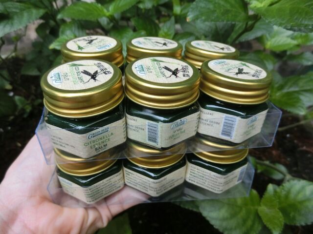 Cao Dầu Cù Là Thảo Dược Sả Thoa Muỗi Đốt Herbal Balm Green Herb Citronella Formula Thái Lan