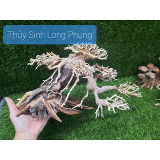 Lũa Bonsai cấy rêu ( N35cm,C20cm,R20cm)