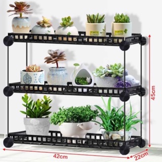 Kệ để chậu cây sen đá, xương rồng, lithops, conophytum (3 tầng)