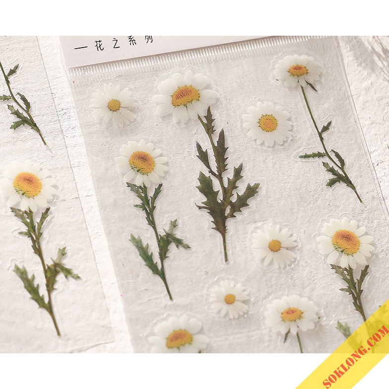 Sticker hoa lá Vintage trang trí, miếng nhán dãn hình hoa lá dán sổ, điện thoại Tuệ Minh