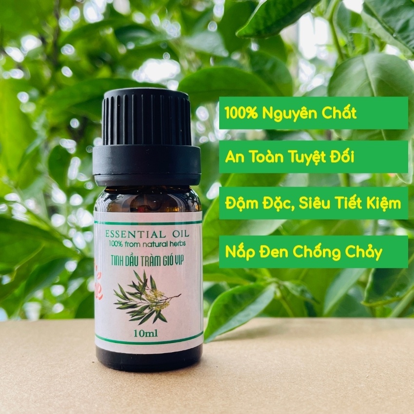 Tinh dầu TRÀM GIÓ CANIFO 10ml - HÀNG CÔNG TY NHẬP KHẨU ẤN ĐỘ CÓ KIỂM ĐỊNH - Tinh dầu tràm gió thiên nhiên