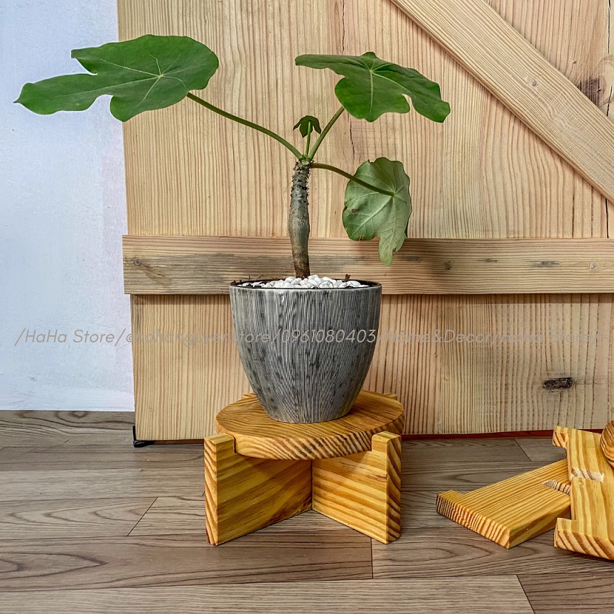 Đế gỗ CAO CẤP đặt cây cảnh Đôn gỗ để cây cảnh CCG12-24CM