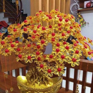 Cây phát tài phát lộc đẹp cây to