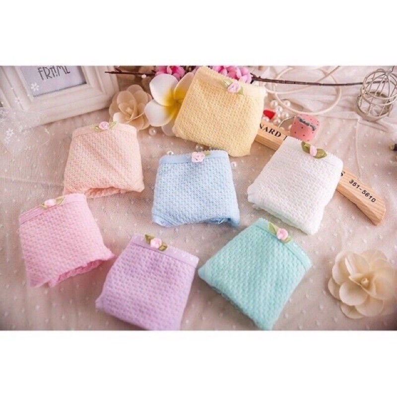 [Mã WASTDEP giảm 5K đơn bất kì] Quần lót cotton nơ hoa siêu đẹp | BigBuy360 - bigbuy360.vn