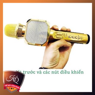 Micro Bluetooth hát Karaoke SD-16 16W