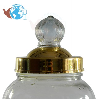 BÌNH NGÂM RƯỢU SÂM 5L
