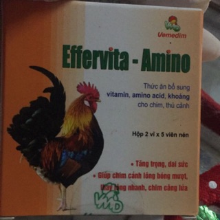 Effervita amino thức ăn bổ sung vitamin cho thú cảnh