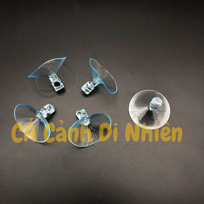 Hít kính giữ ống DÂY OXY 6 mm cho hồ cá cảnh