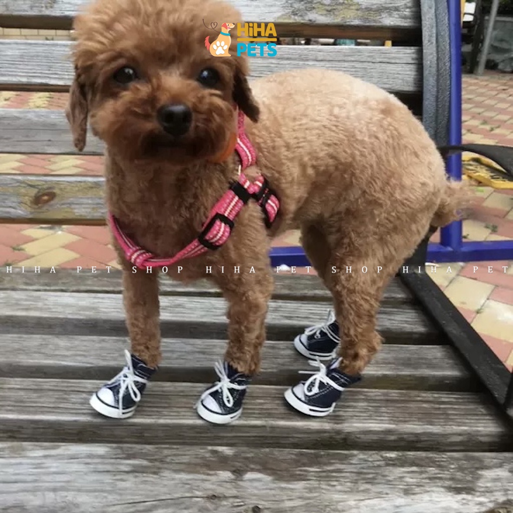 Giày Cho Chó Thú Cưng Đi, giày cho chó poodle Cao Cấp Hihapet