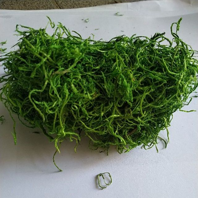 Rêu cỏ sợi, bột rêu giả làm mô hình , trang trí bon sai, tiểu cảnh