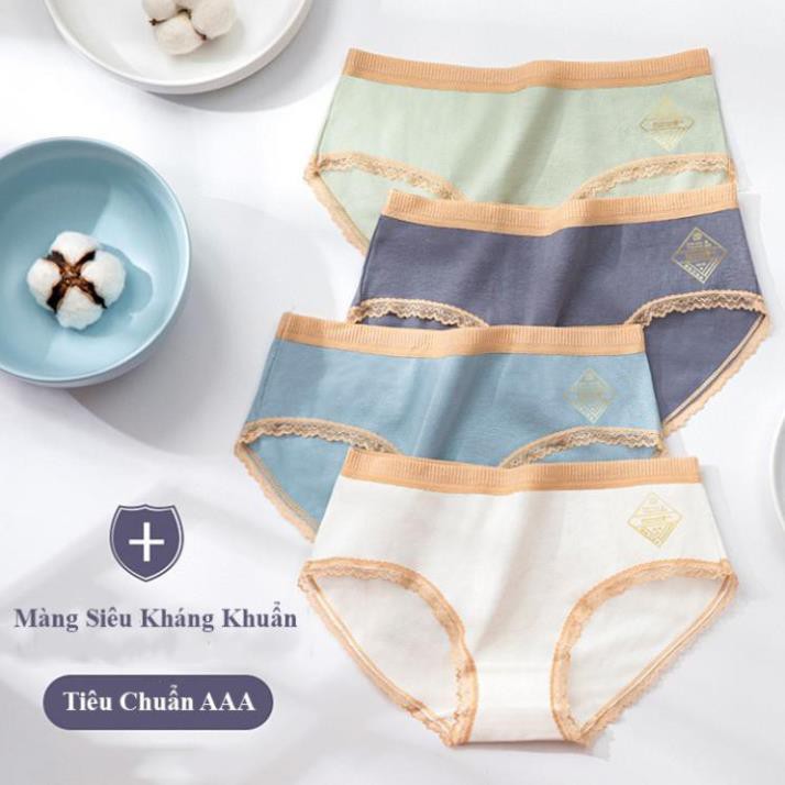 Quần Lót Nữ, quần mặc trong váy Cotton co dãn mềm mịn thoáng mát (size L,XL) CT-04