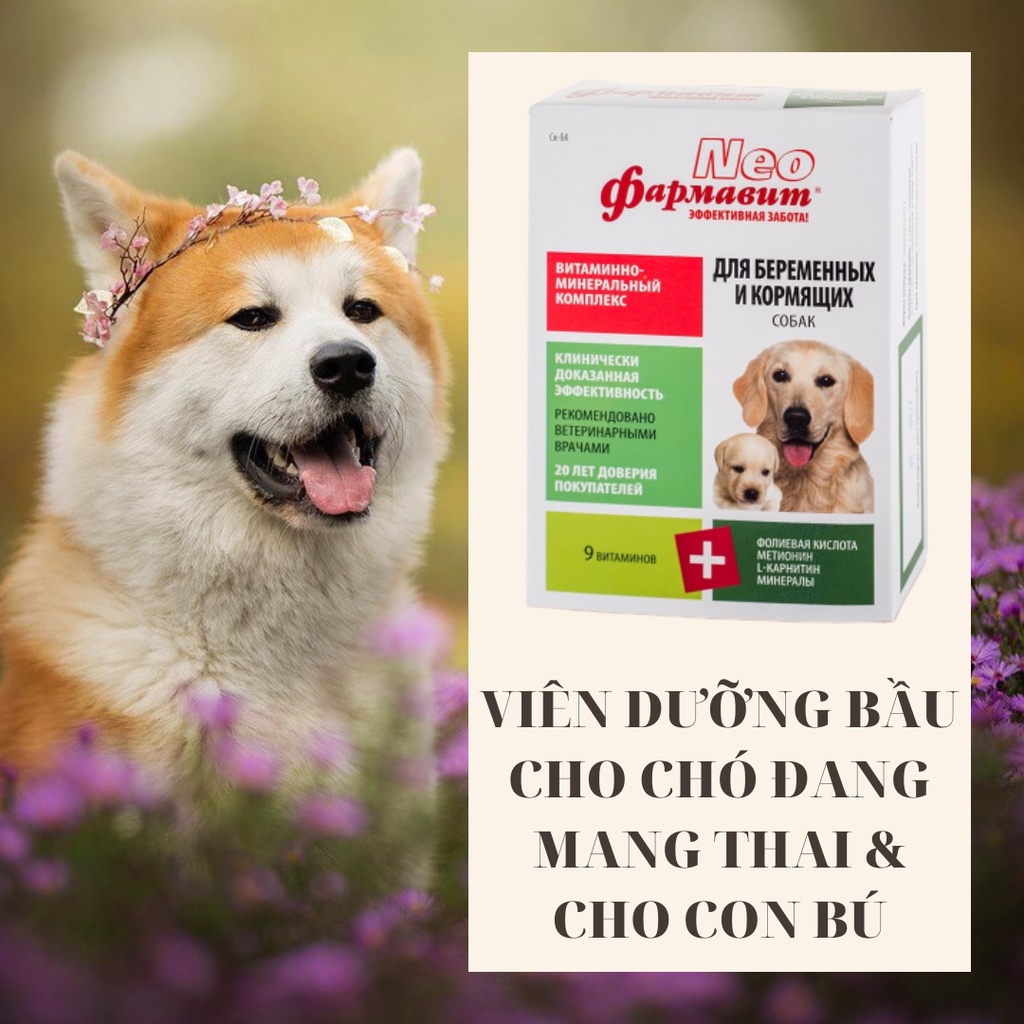 VITAMIN DƯỠNG BẦU DÀNH CHO CHÓ ĐANG MANG THAI VÀ CHO CON BÚ (90 VIÊN)