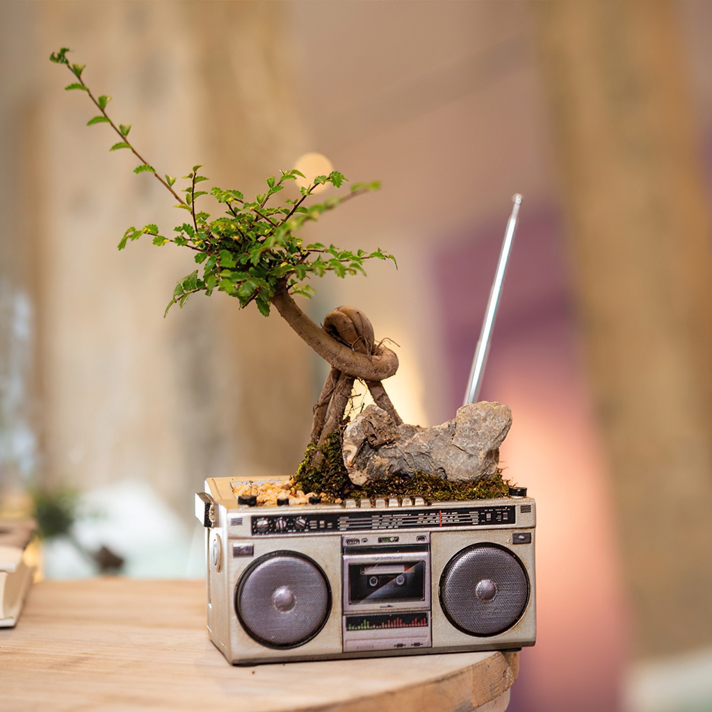 [house]Radio Flower Pot Weather-Resistant Radio Succulents Decorative Radio Ornament Radio Planter Resin Decoration for