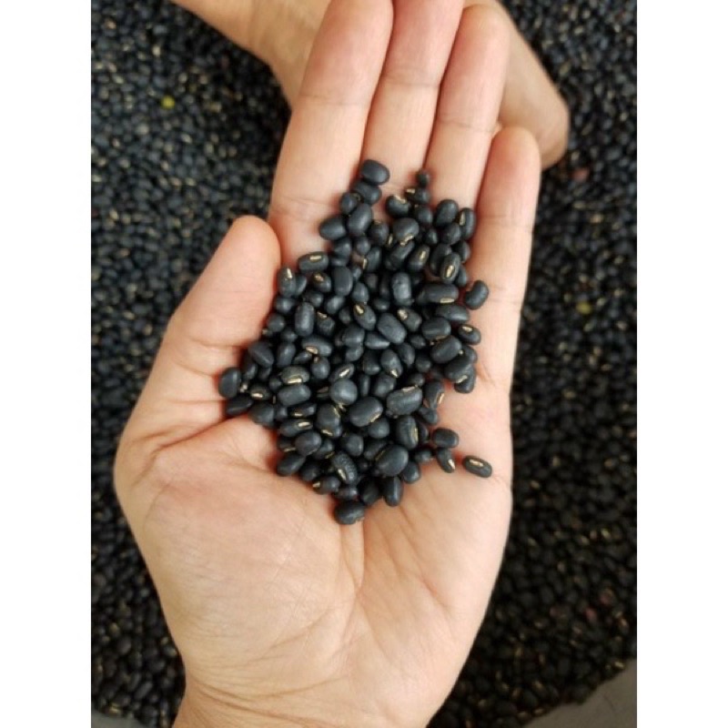 Đậu đen - Đậu đen xanh lòng túi zip