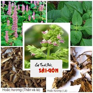 Hoắc Hương 500g