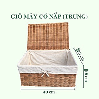 Giỏ Hộp Mây Đựng Đồ Chữ Nhật Pii Home, Có Nắp Đậy Kèm Lót Vải Tiện Dụng