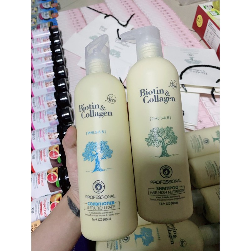 cặp gội xả biotin