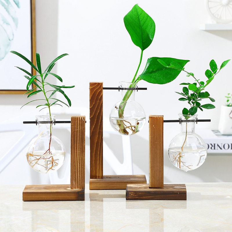 Chậu Kính Trồng Cây Thủy Canh Kiểu Retro Trang Trí Nhà Cửa / Văn Phòng