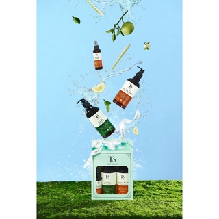 Set Quà Limited - ComBo Dầu Gội Bưởi Rừng Giảm Rụng, Mọc Tóc & Siêu Phục Hồi TB.D’ABORD