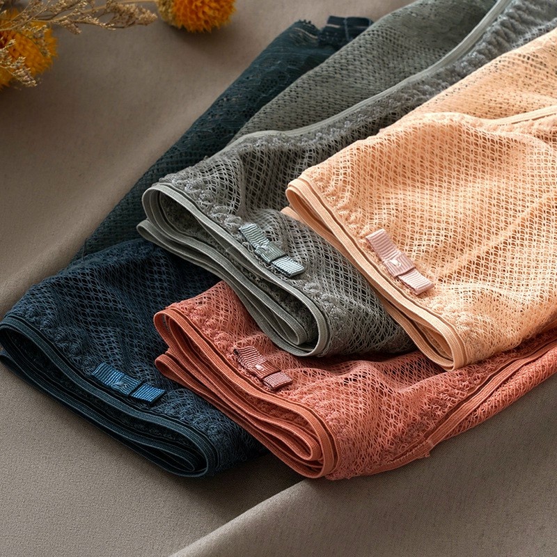 Quần lót ren lưới xịn, quần chip không lộ viền Havana FLQ99