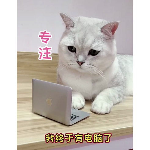 Gương trang đIểm mini hình máy tính xách tay sáng tạo