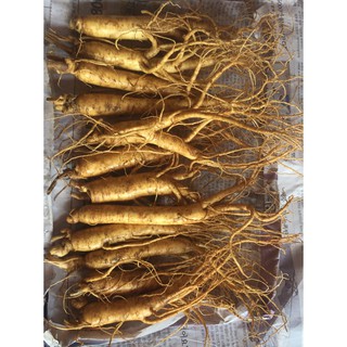 Nhân sâm hầm gà 500g loại 20-30 củ/kg nhập Từ Hàn Quốc
