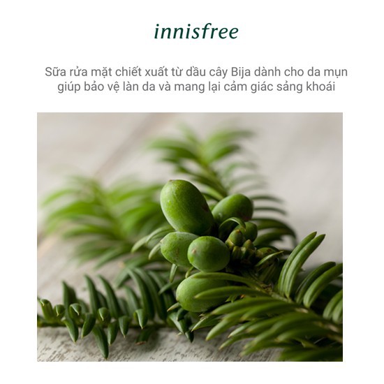 Hàng Hàn- Sữa rửa mặt dành cho da mụn innisfree Bija Trouble Facial Foam 150ml