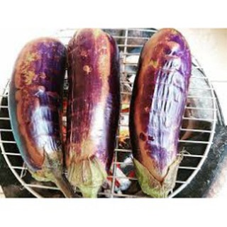 (GÍA SỈ) [Gói 1g] Hạt giống Cà tím cơm xanh (cà tím dài)