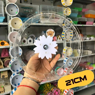Wheel hamster trong suốt lắp ráp