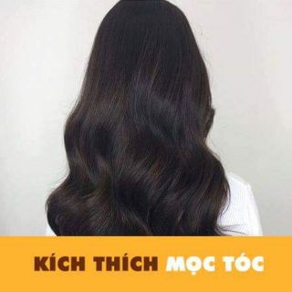 Dầu gội gừng _heathy ginger shampoo
