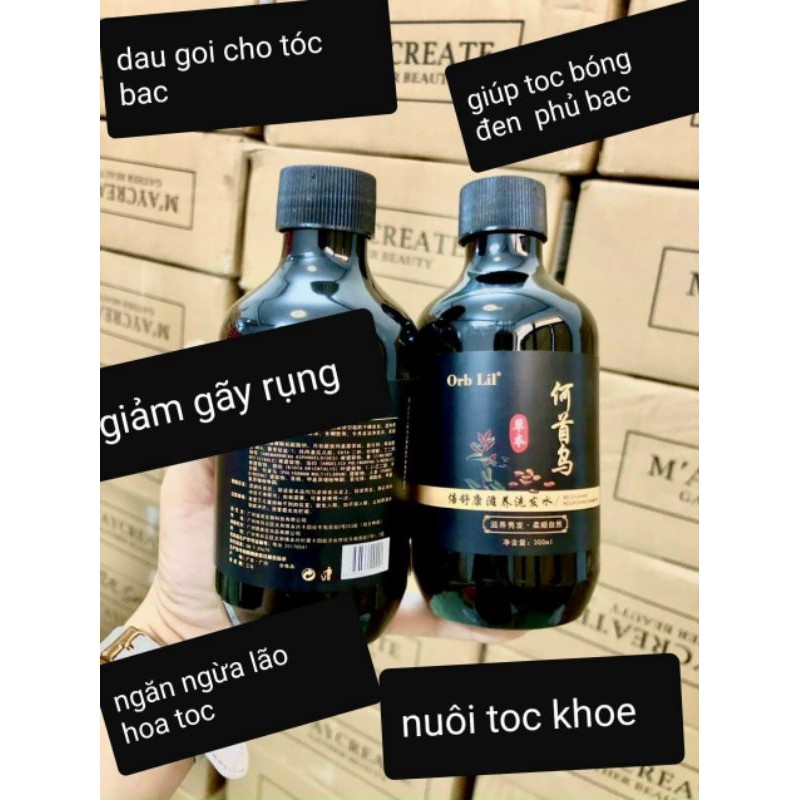 gội sâm đen mọc tóc